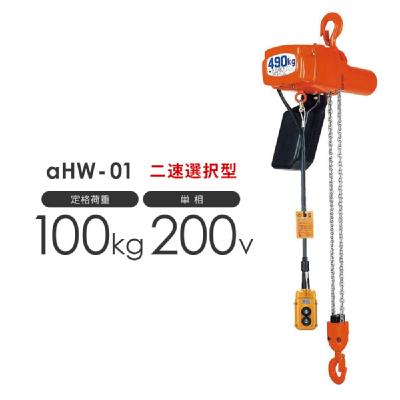 ۈ At@  HW-01 100kg Wg3.0m 񑬑I^ P200Vp AHW-K1030