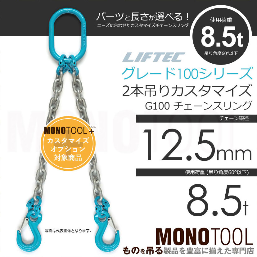 G100 LIFTEC カスタマイズ可能 チェーンスリング 2本吊り 使用荷重:8.5t 12.5mm リフテック リフテック（グレード100）  通販｜モノツール