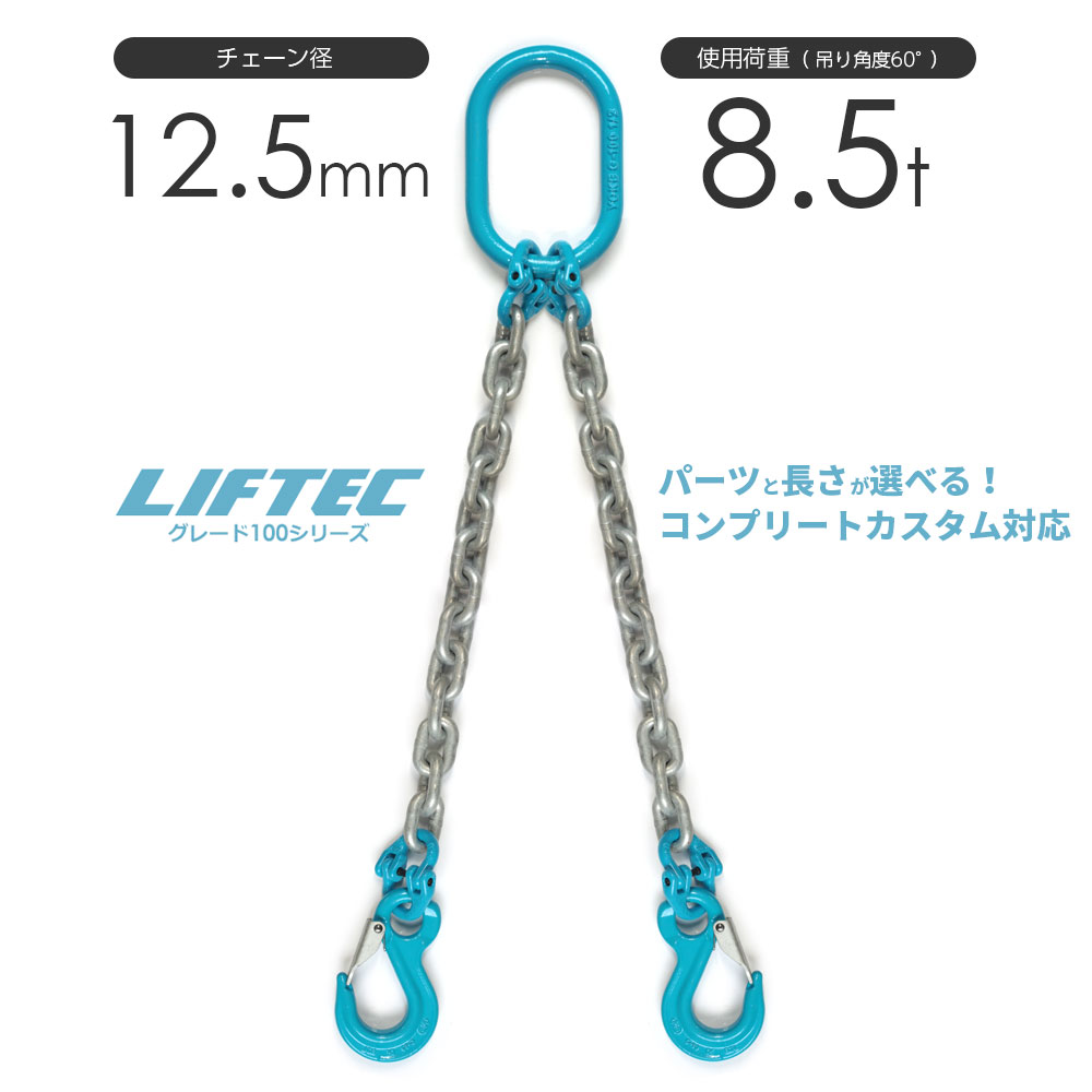 G100 LIFTEC カスタマイズ可能 チェーンスリング 2本吊り 使用荷重:8.5t 12.5mm リフテック