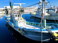 船舶にビニール被覆ワイヤ ステンレス